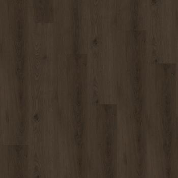 CHECK � Premium | 2076 Boxbach Oak