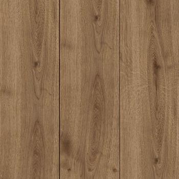 kiwi now | 40KN782 Jalon Oak