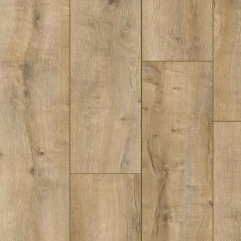 CLASSEN � Arteo 8XL | 54807 Connemara Oak