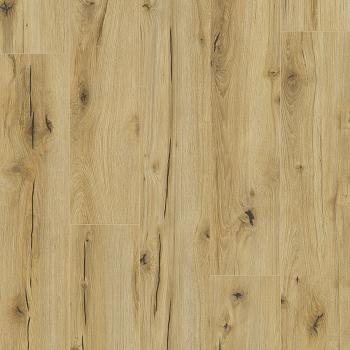 CLASSEN � Arteo 8M | 62747 Anargosa Oak