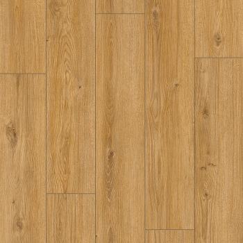 CLASSEN � Arteo 8M | 62752 Hamra Oak