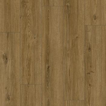 CLASSEN � Arteo 8M | 62755 Kotor Oak