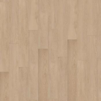 kiwi now | 81KN102 Absolut Oak Beige