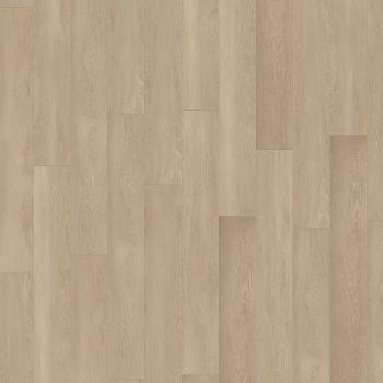 kiwi now | 81KN112 Absolut Oak Nature