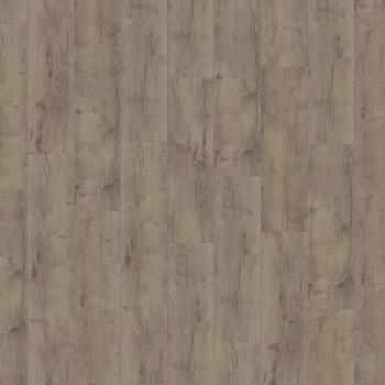 KRONOTEX � Advanced Plus | D4619 Welsh Oak Grey