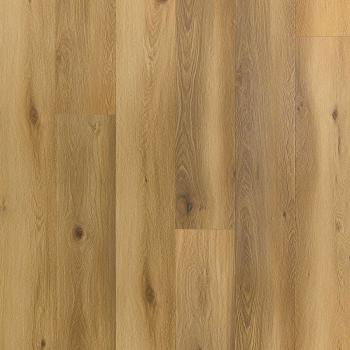 ARBITON � Amaron Superiore EIR | CASS 208 Burbon Oak