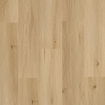 ARBITON � Amaron Wood Acoustic | CAA 153 Yankee Oak