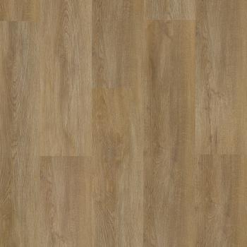 ARBITON � Amaron Wood Acoustic | CAA 154 Sierra Oak