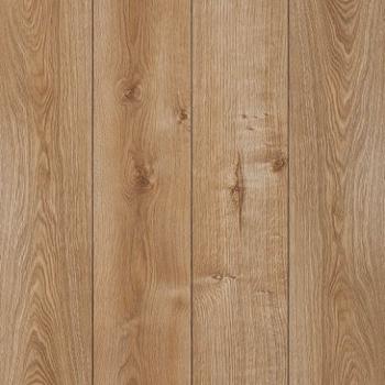 CLASSEN � Adventure 4V | 62594 Pasadena Oak