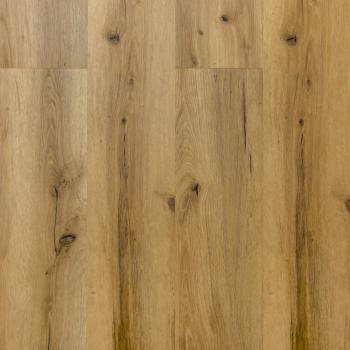 REPUBLIC � Alligator |  >> A001 Rizz