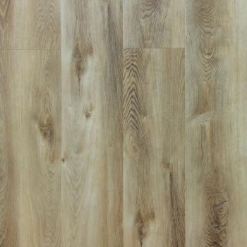 REPUBLIC � Alligator |  >> A003 No Front