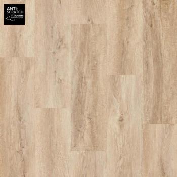 ARBITON � Woodric Click | CW 184 Windsor Oak