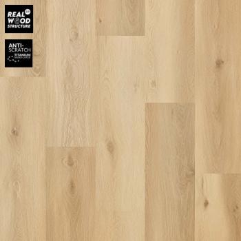 ARBITON � Woodric Click EIR | CWS 205 Highlands Oak