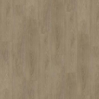 CHECK � Check One | 4052 Kopenhagen Oak