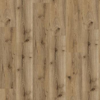 CHECK � Check One | 4129 Mombasa Oak