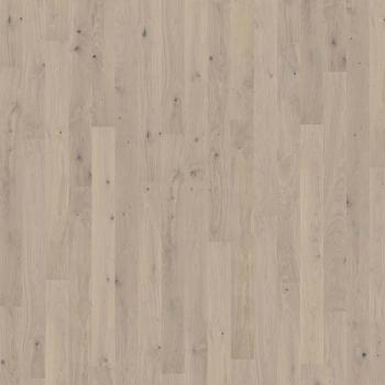 K�HRS � Canvas | Mostra Oak