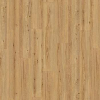 KRONOTEX � Exquisit Plus | D80052 Arizona Oak Nature