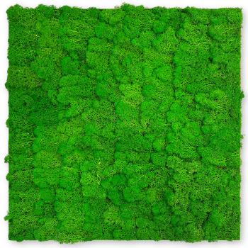 JANGAL � Modular Wall - Nature Moss | 11101 Rich Green