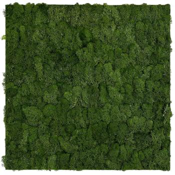JANGAL � Modular Wall - Nature Moss | 11103 Dark Green
