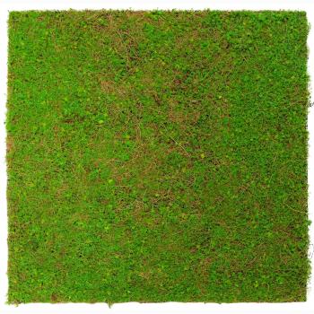 JANGAL � Modural Wall - Nature Design Flora | 11106 Light Green Coconut