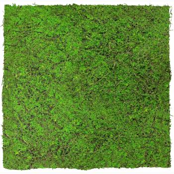 JANGAL � Modural Wall - Nature Design Flora | 11107 Forest Green Ancient Tree