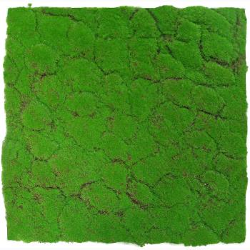 JANGAL � Modular Wall - Design Moss | 11108 Forest Green