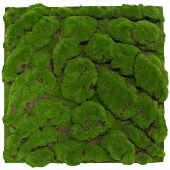 JANGAL � Modular Wall - Design Moss | 11109 Forest Green Big Bulk
