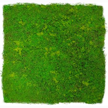 JANGAL � Modular Wall - Design Moss | 11110 Light Green Fibre