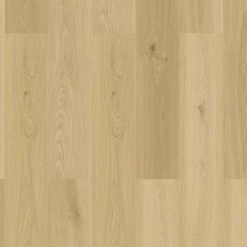 CHECK � Premium SYNC Long & Wide | 2477 Baienbach Oak