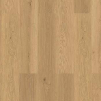 CHECK � Premium SYNC Long & Wide | 2478 Buch�cker Oak