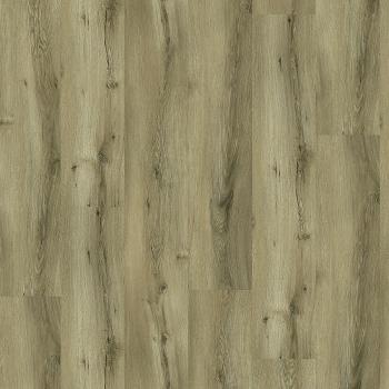 CHECK � Click Vinyl Wide | 4124 Maseru Oak