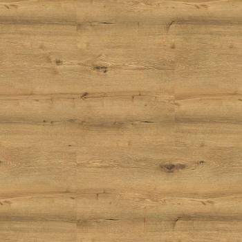 KORNER � Spectra XL | 09W Titan Oak