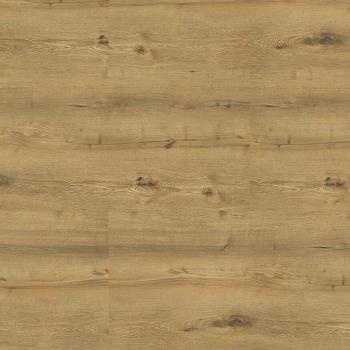 KORNER � Spectra XL | 10W Tarvos Oak