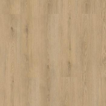 CHECK � Standard Long & Wide | 2484 Marienthal Oak