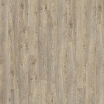 KRONOTEX � Mammut | D3669 Makro Oak Beige