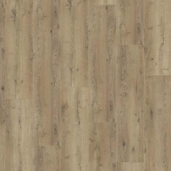 KRONOTEX � Mega Plus | D3668 Decent Oak