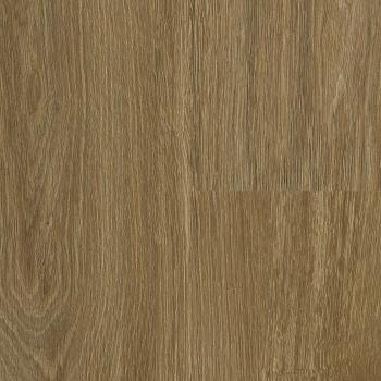 FALQUON � Wood 5G | P6003 Calm Oak