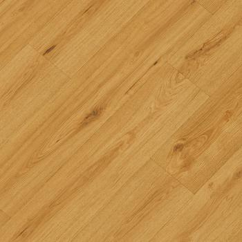 REPUBLIC � Crocodile | C010 Clapback