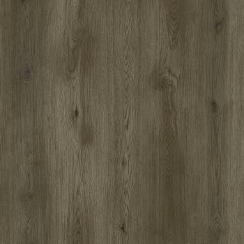 REPUBLIC � Grizzly |  >> G002 Bankster