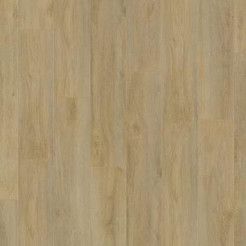 KRONOTEX � Robusto | D4955 Premium Oak Natur