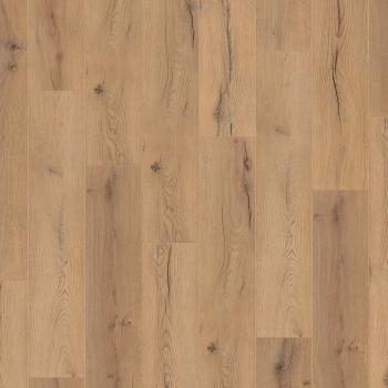KRONOTEX � Standard Plus | D4176 Century Oak Beige