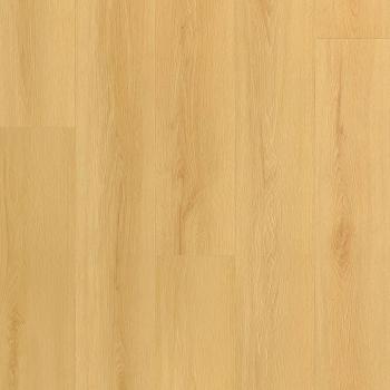 ARBITON � Amaron Wood EIR Acoustic | CASA 227 Virgin Oak