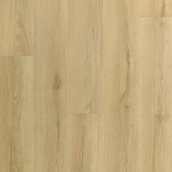 ARBITON � Amaron Wood EIR Acoustic | CASA 228 Princeton Oak