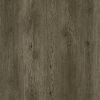 REPUBLIC � Wolf | W002 Bang