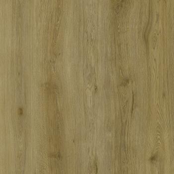 REPUBLIC � Wolf | W004 Strange