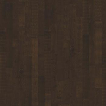 K�HRS � Canvas | Curio Oak